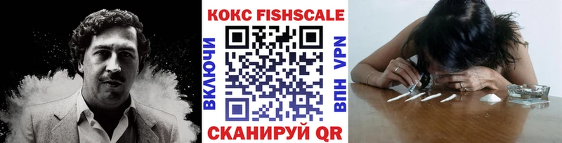 Купить закладки Славск Кокаин Fish Scale